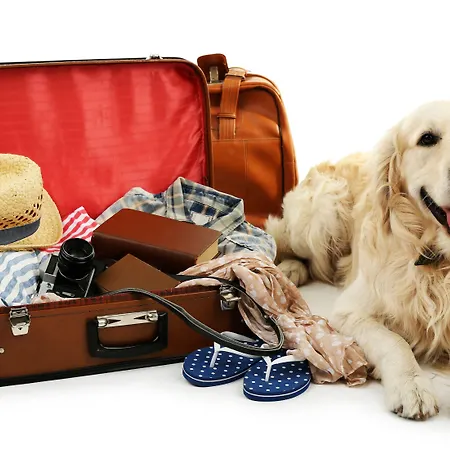 Elbflorenz Drážďany