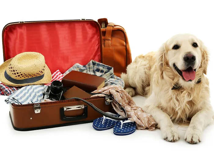 Elbflorenz דרזדן